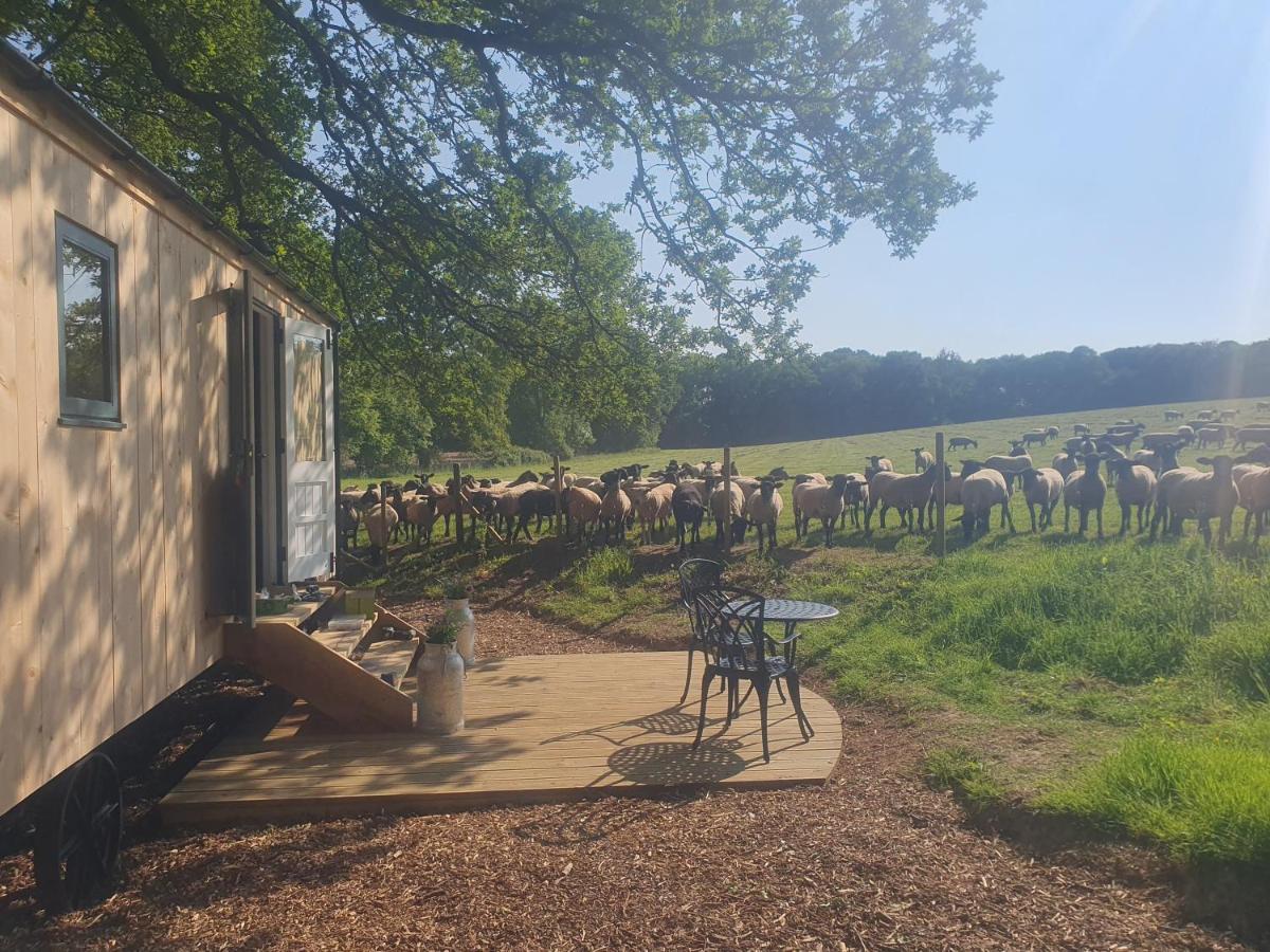 Coachroad Shepherds Huts Petworth Exterior foto